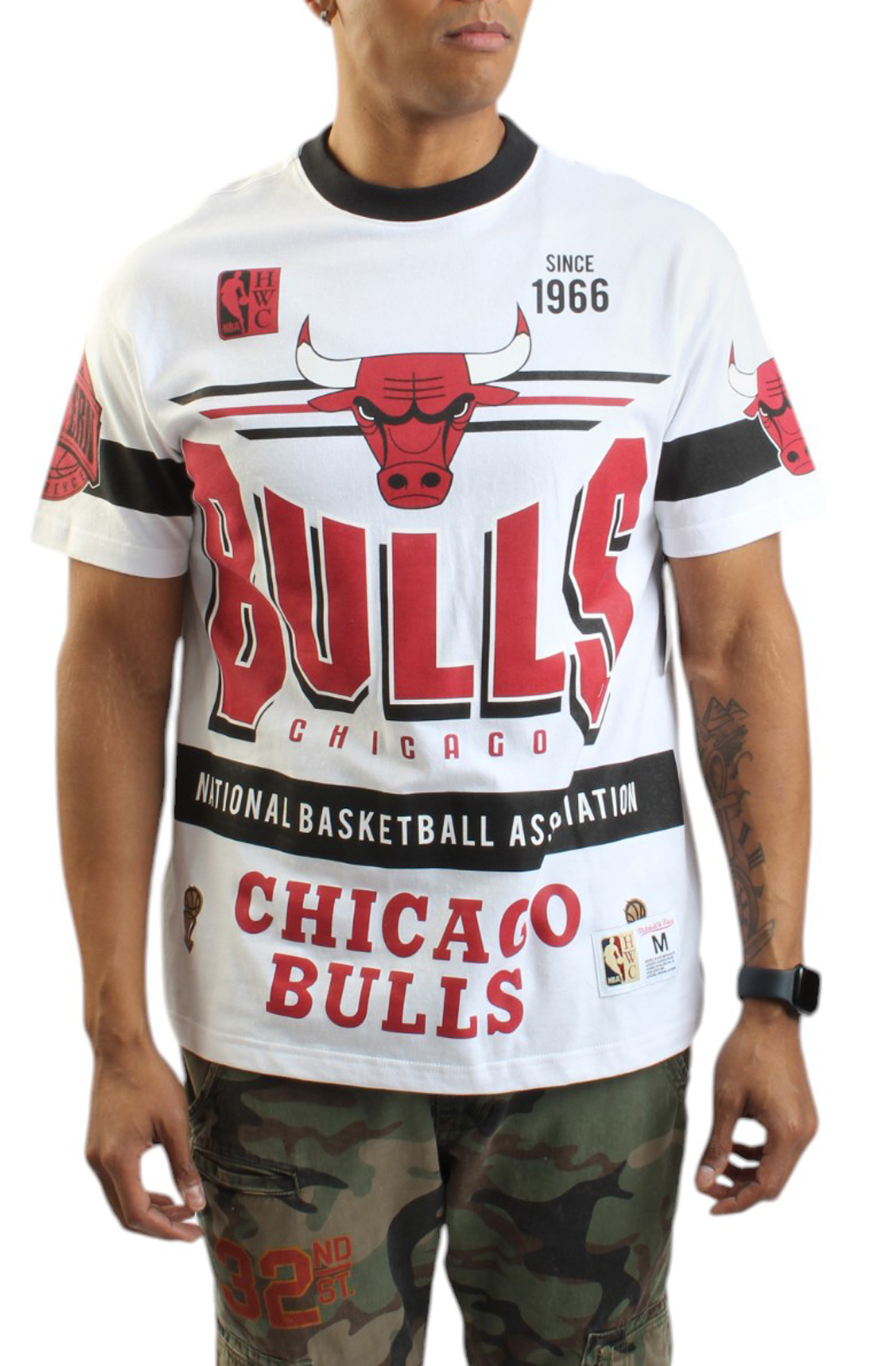 NBA Chicago Bulls Team Origins Premium Vintage Logo T-Shirt