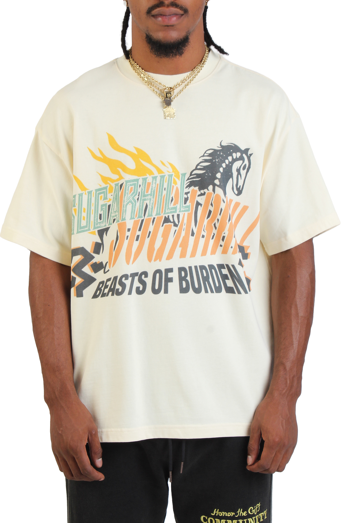 Beasts Of Burden T-Shirt