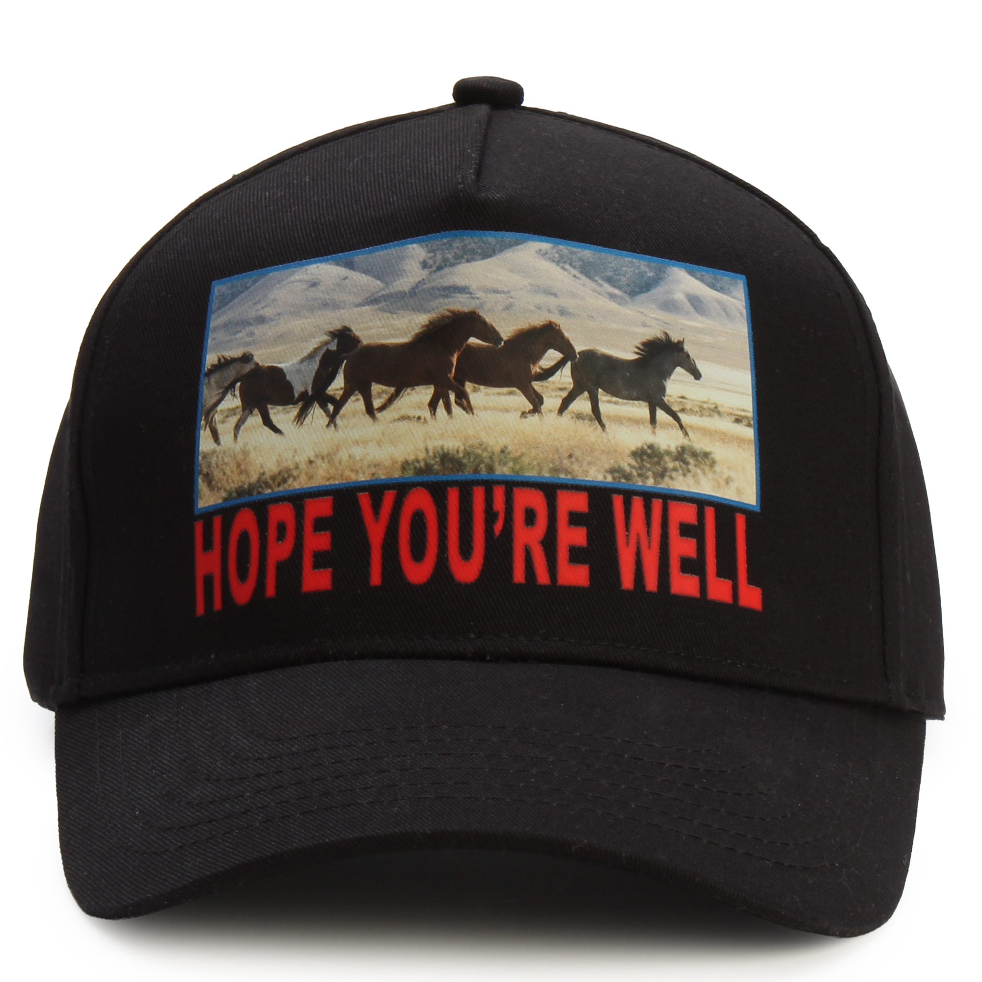 Horses Adjustable Hat