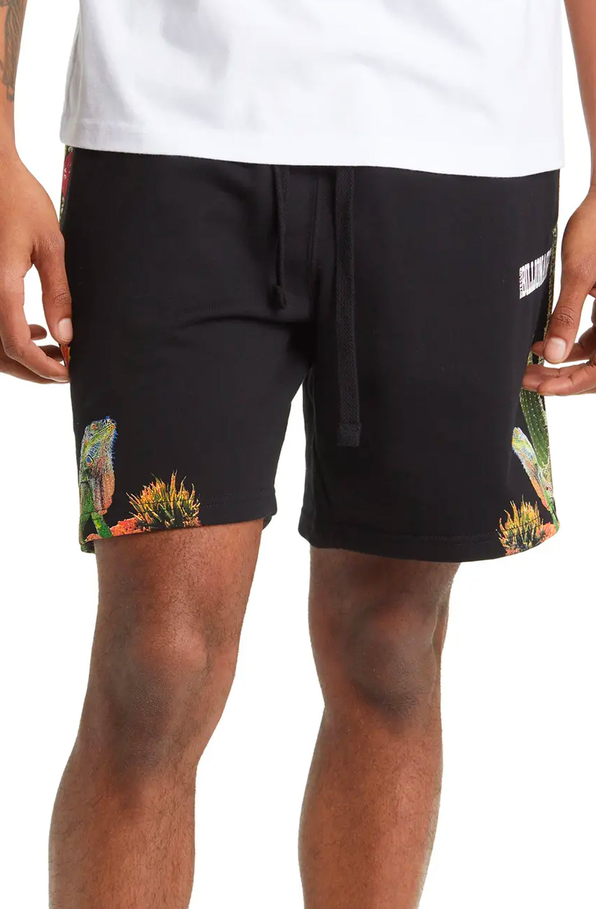 Cacti Short