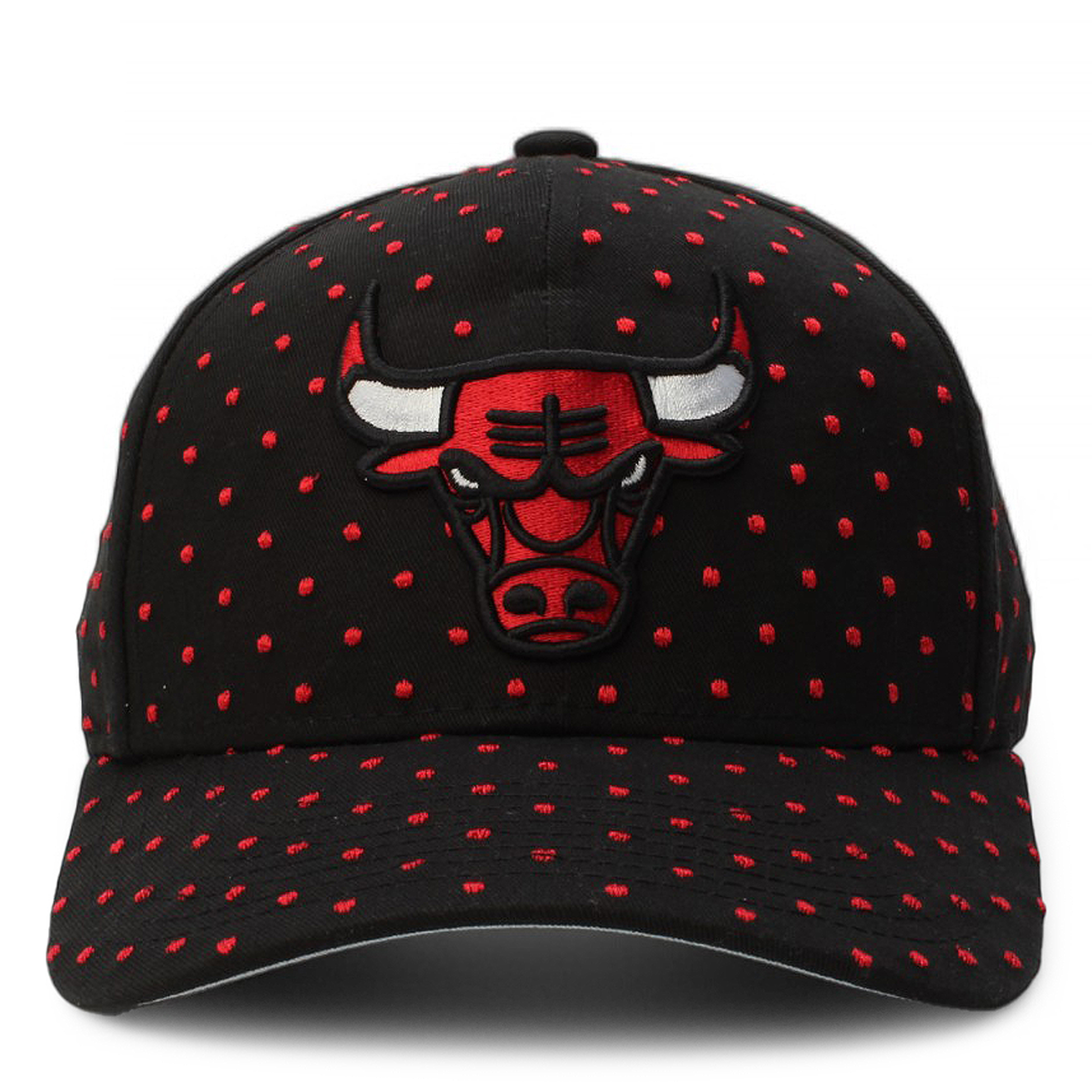 NBA Chicago Bulls Polka Pro Snapback