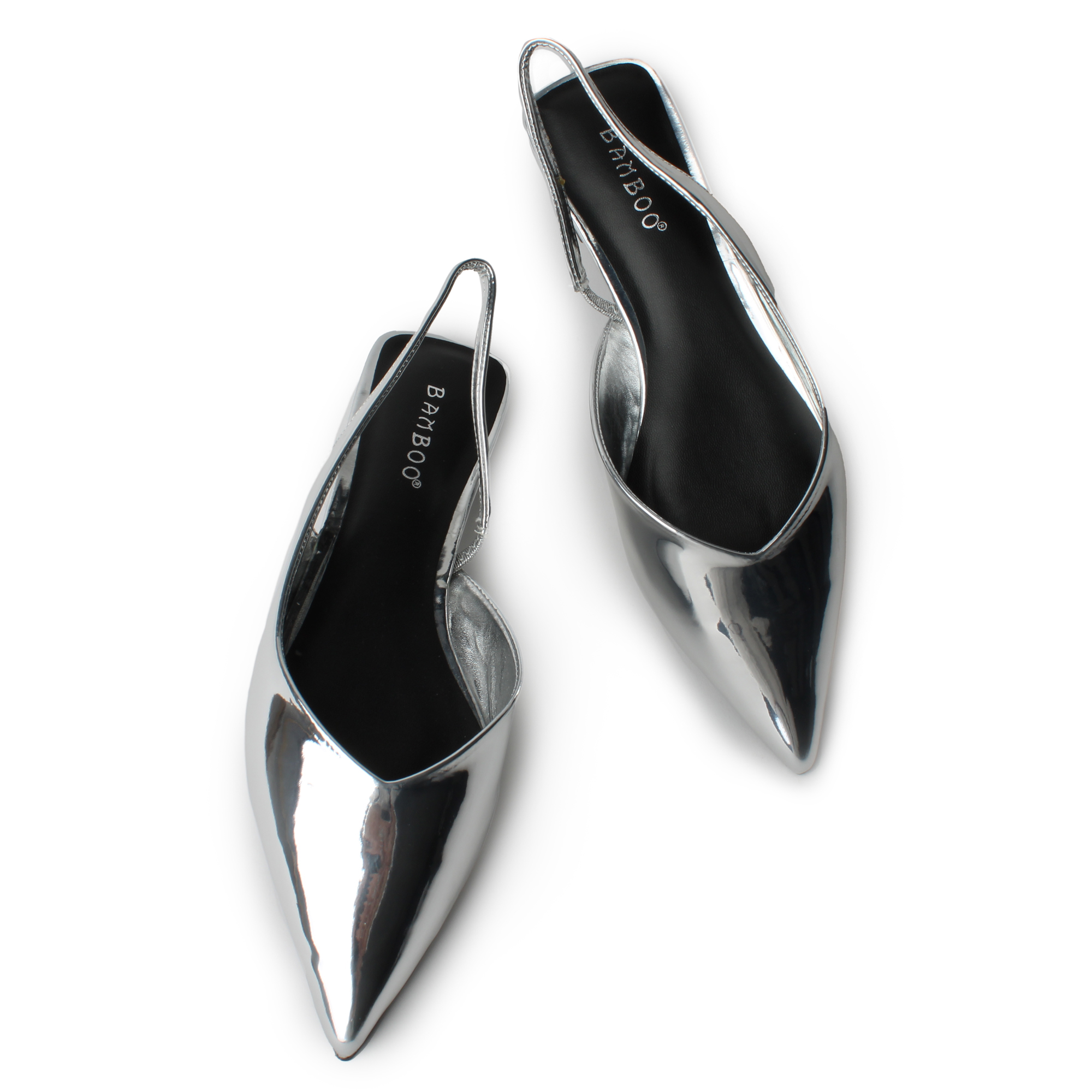 Assert-05 Pointy Toe Flats