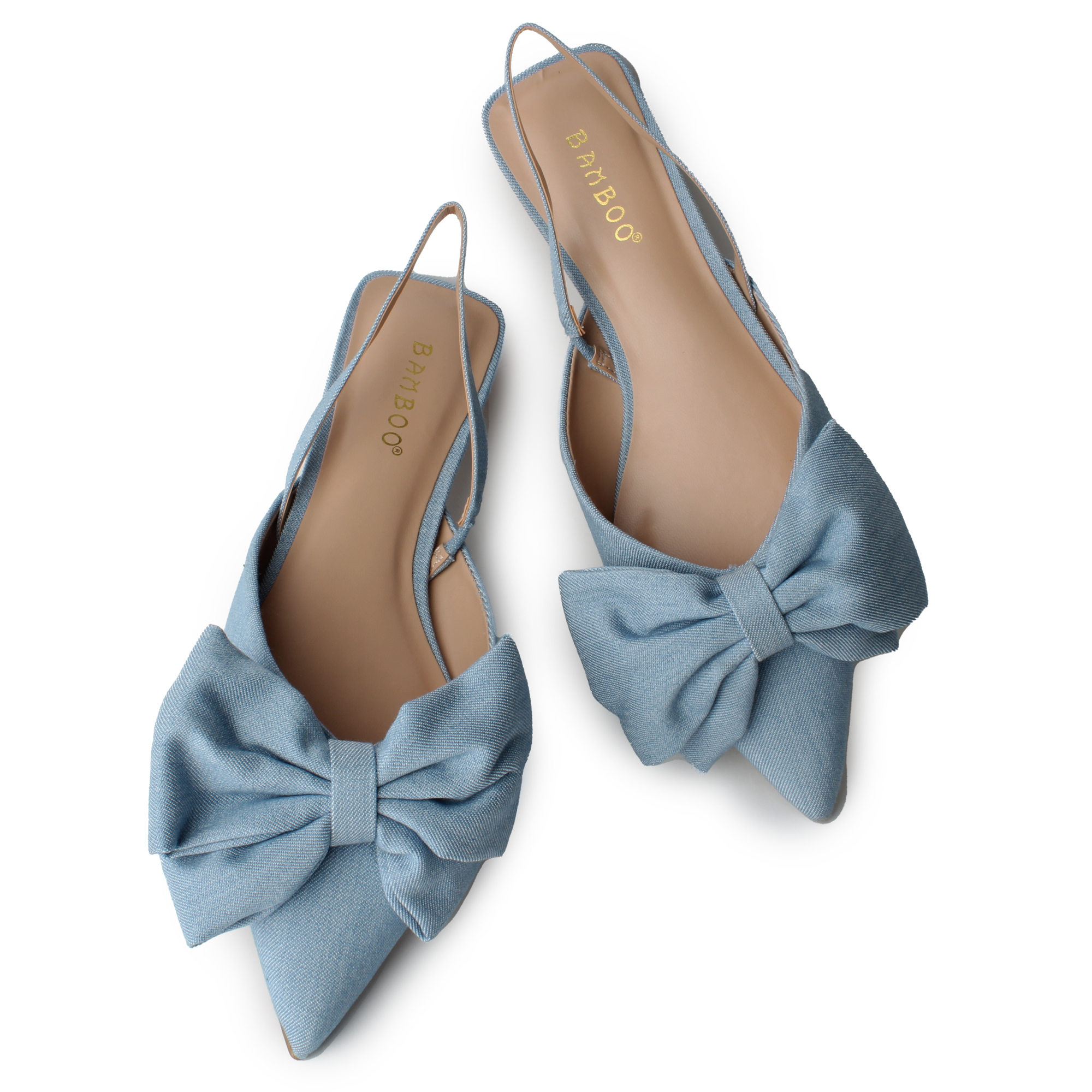 Assert-01 Bow Pointy Toe Flats