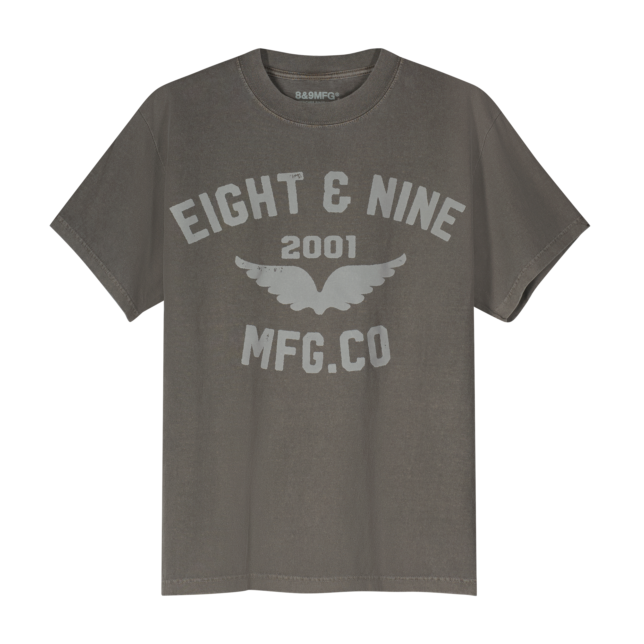Wings Washed Tee