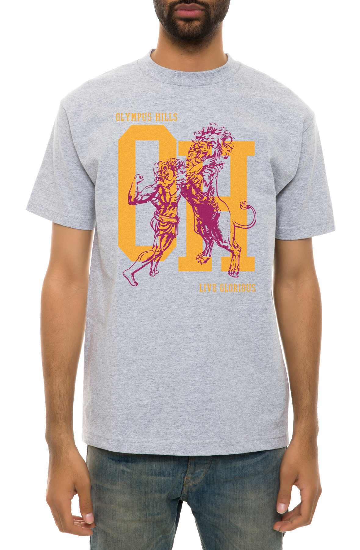 The Man Vs Lion Tee