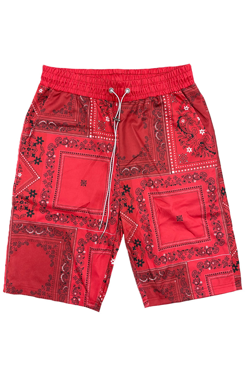 Paisley All Over Print Shorts