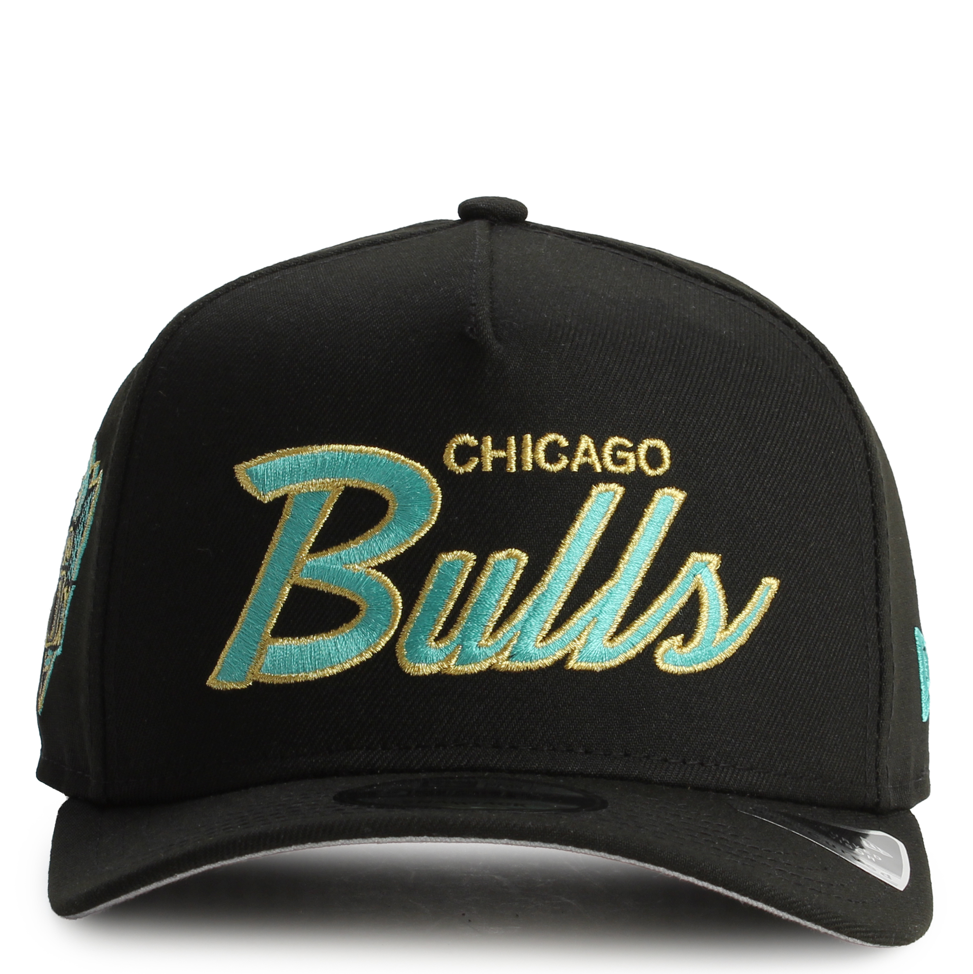 NBA Chicago Bulls 9FIFTY Pre-Curved Snapback
