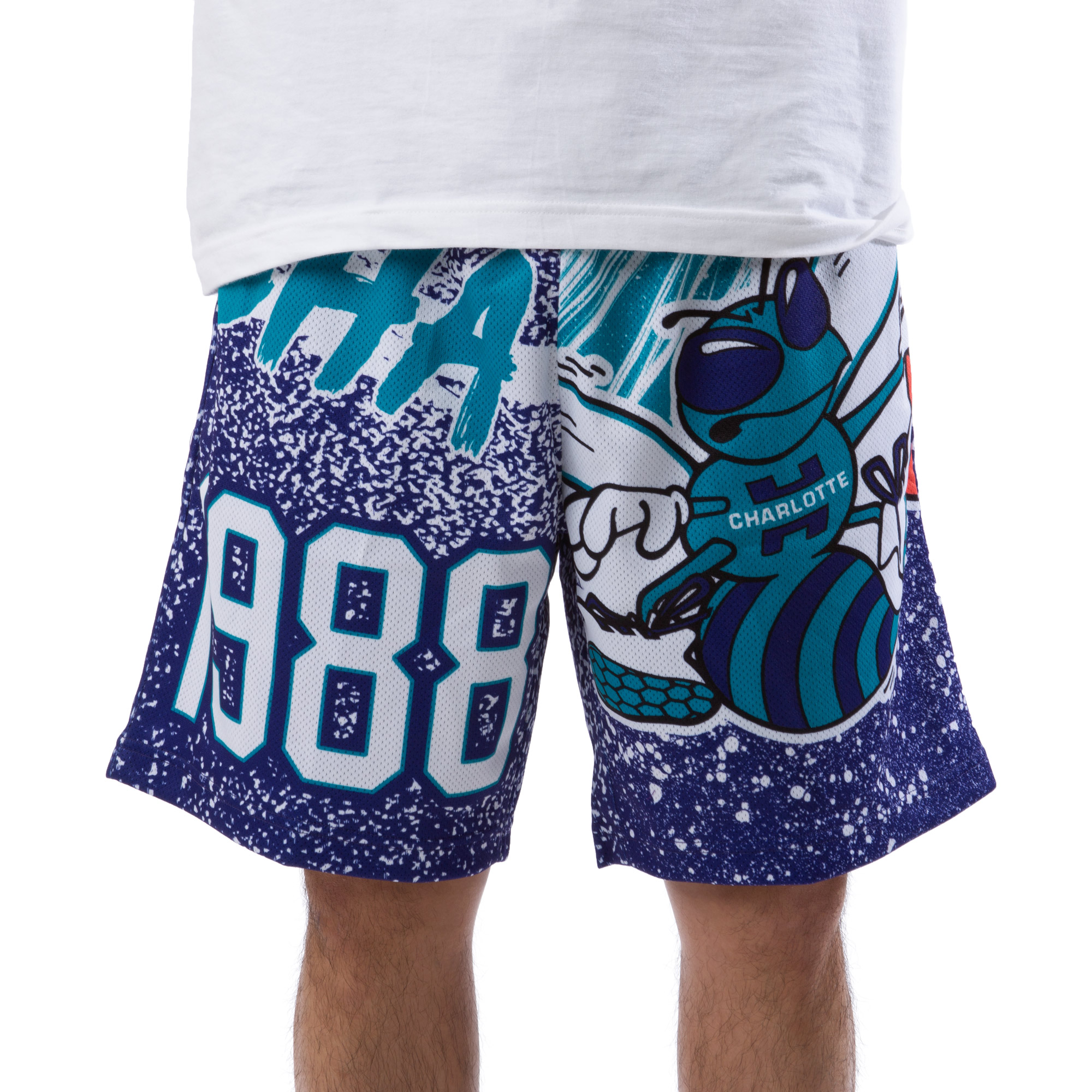 charlotte hornets mitchell and ness shorts
