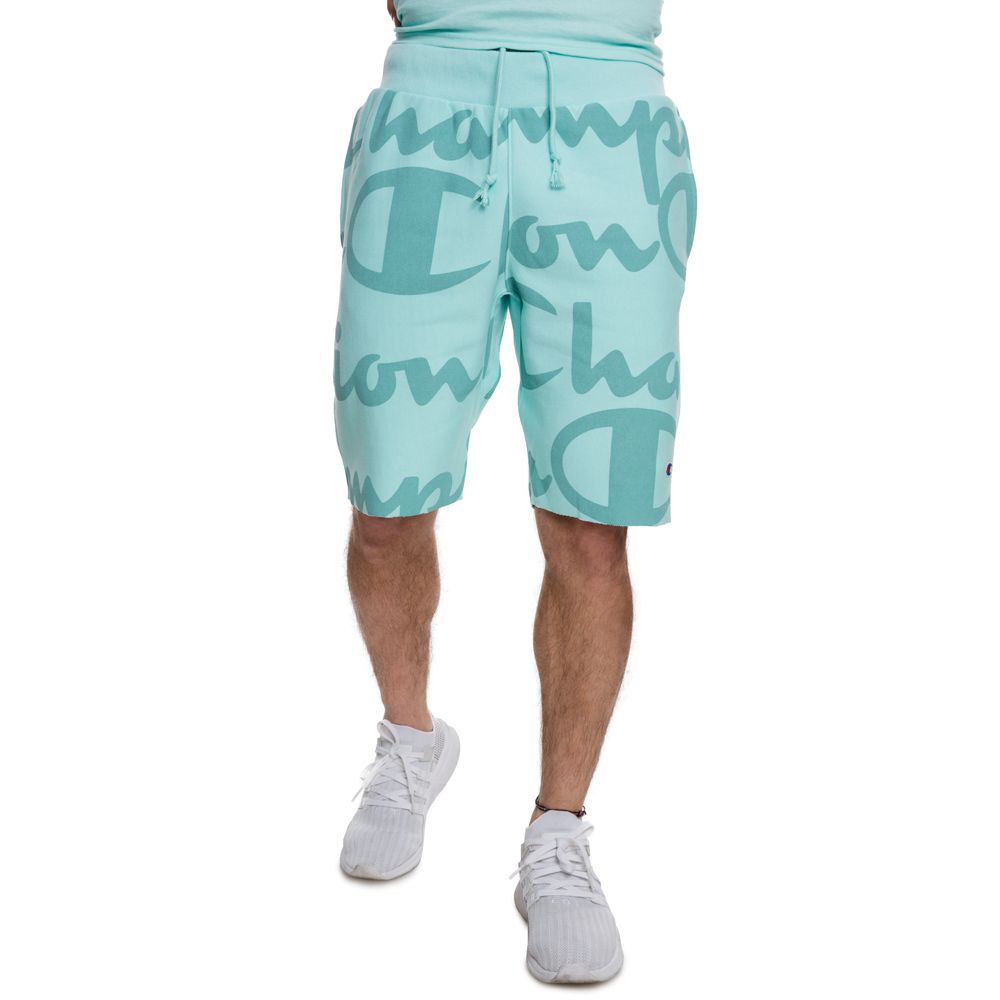 champion reverse weave shorts teal