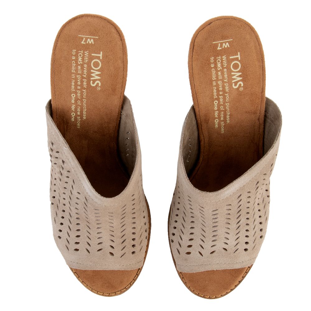 Toms on sale majorca mule