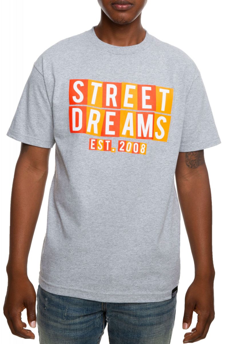 Street Dreams Game Of Life Tee In Grey Gl0738gry - Karmaloop