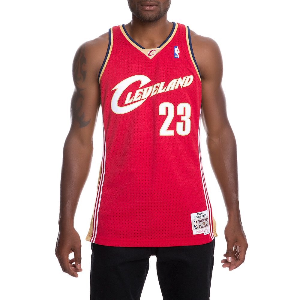 swingman lebron jersey
