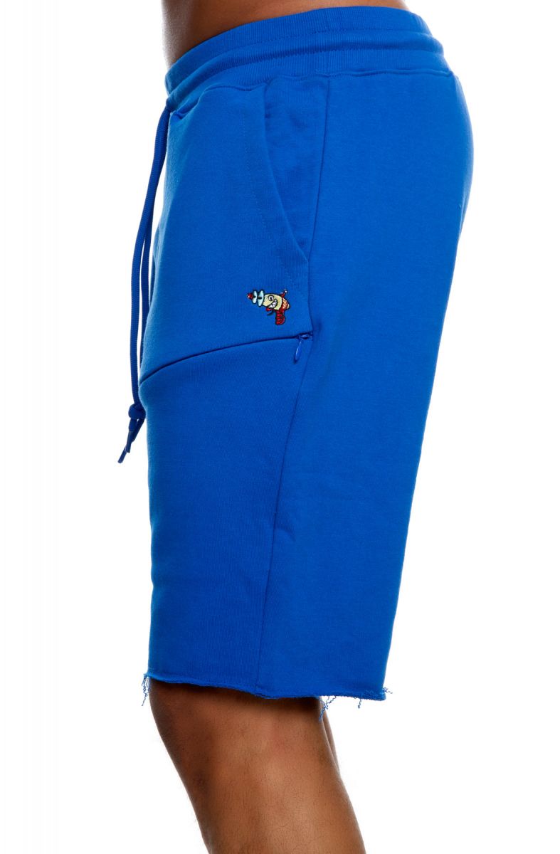 rayguns nike shorts