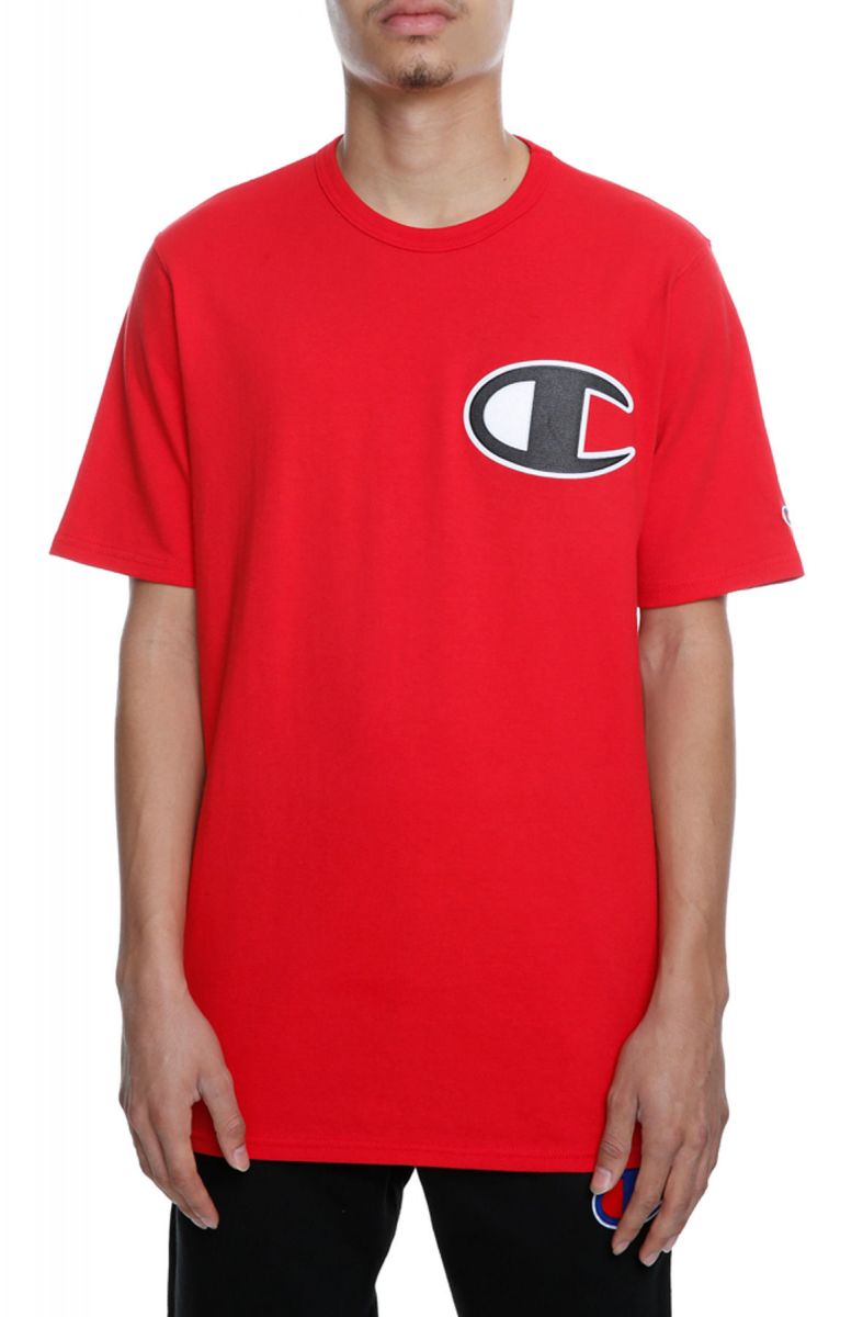 champion gt19 y06820