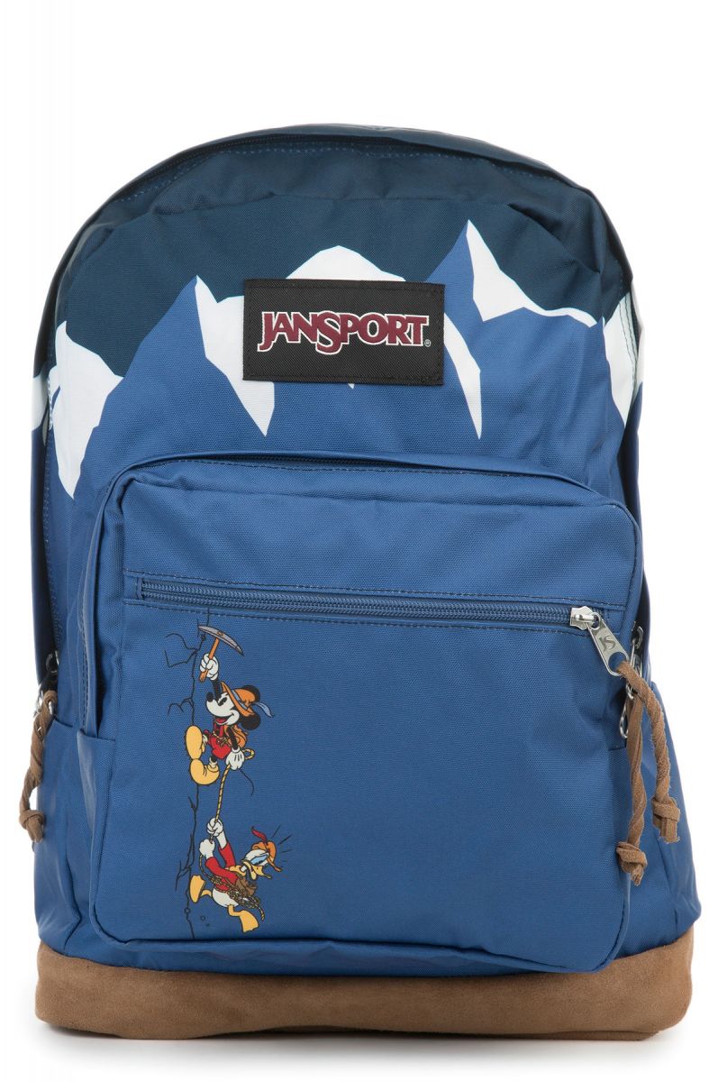 jansport x