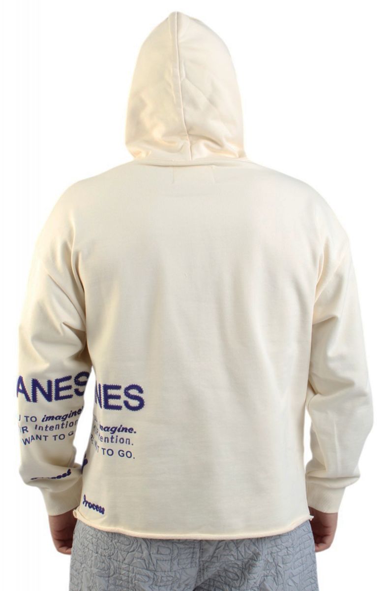 PAPER PLANES Planes Advance Pullover Hoodie 300367EGG - Karmaloop