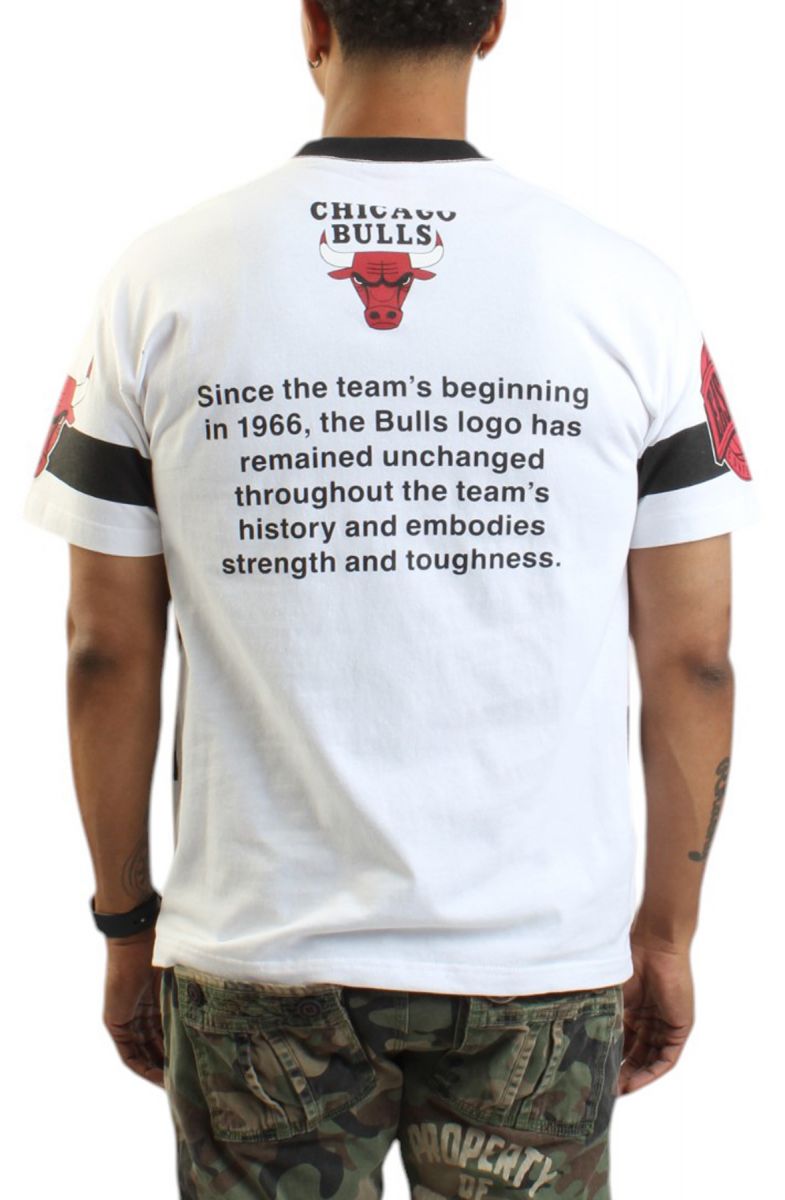 MITCHELL & NESS NBA Chicago Bulls Team Origins Premium Vintage