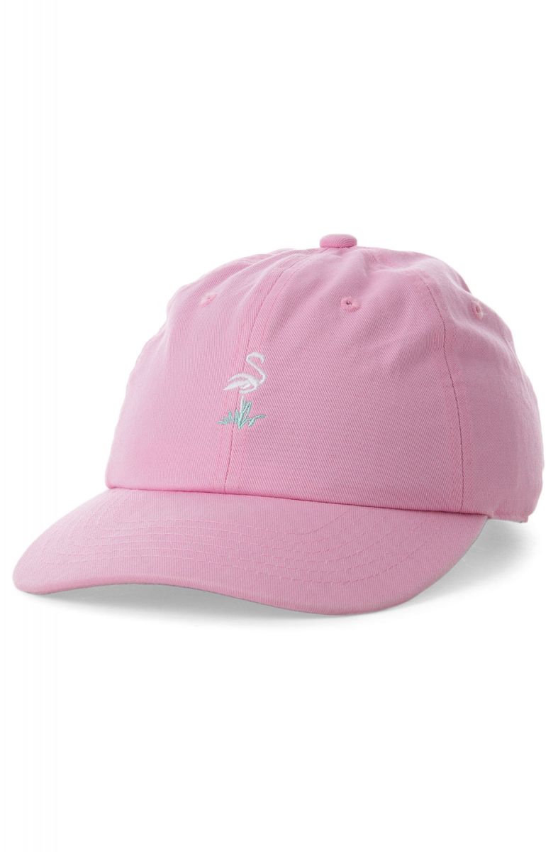 pink dolphin dad hat