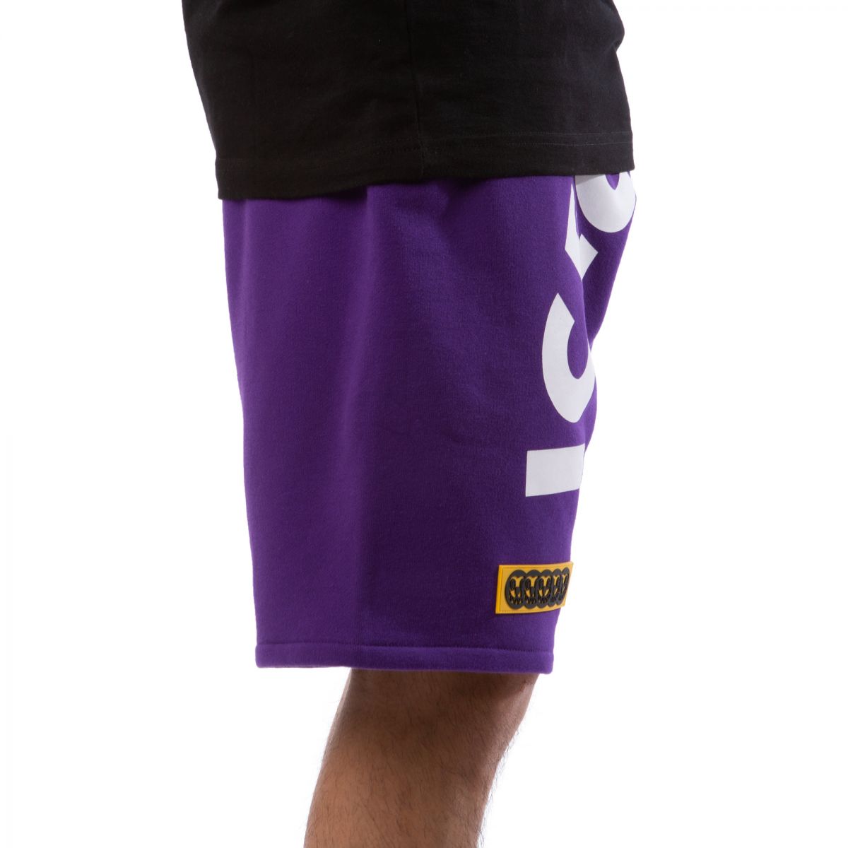 ICE CREAM Arch Shorts 4113105PUR Karmaloop