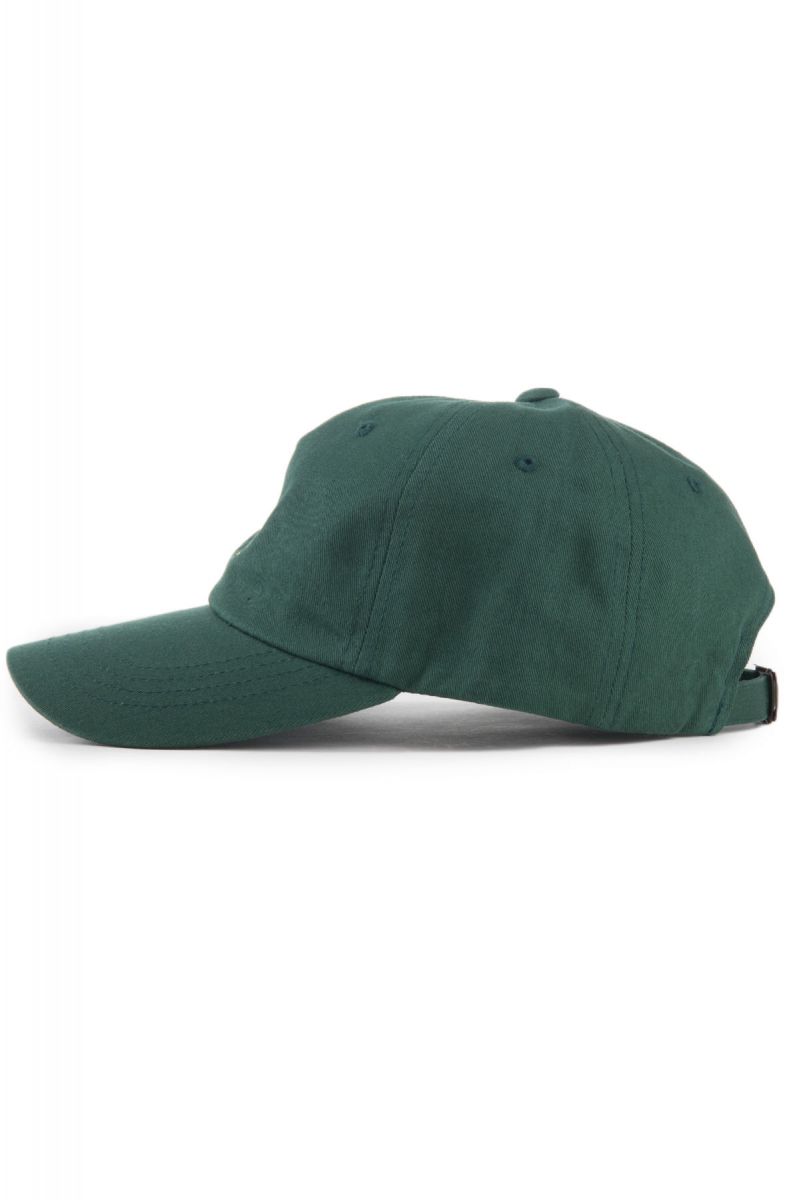 The Onion Chips Dad Hat in Spruce