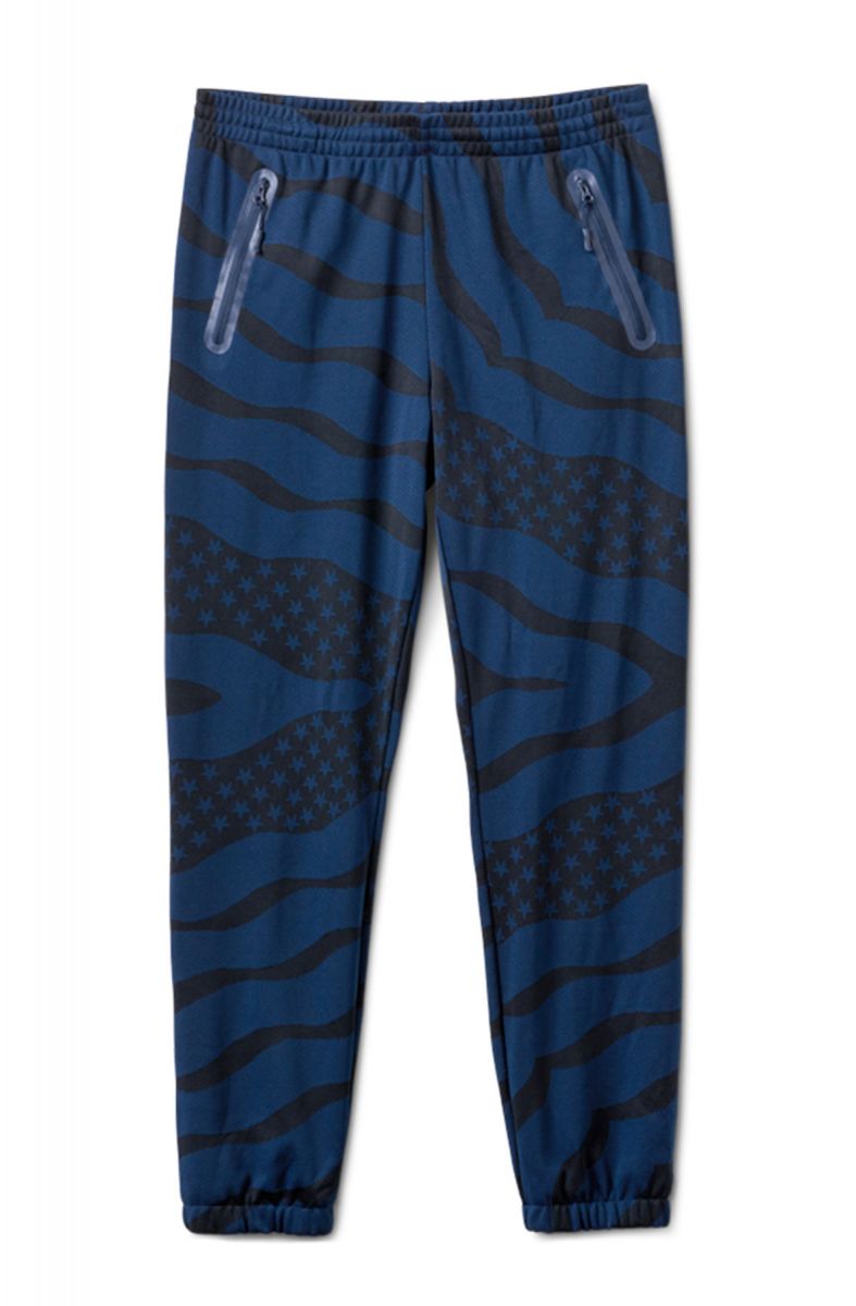 HALL OF FAME The Patriot Pants in Navy ABMCF16078NVY PLNDR