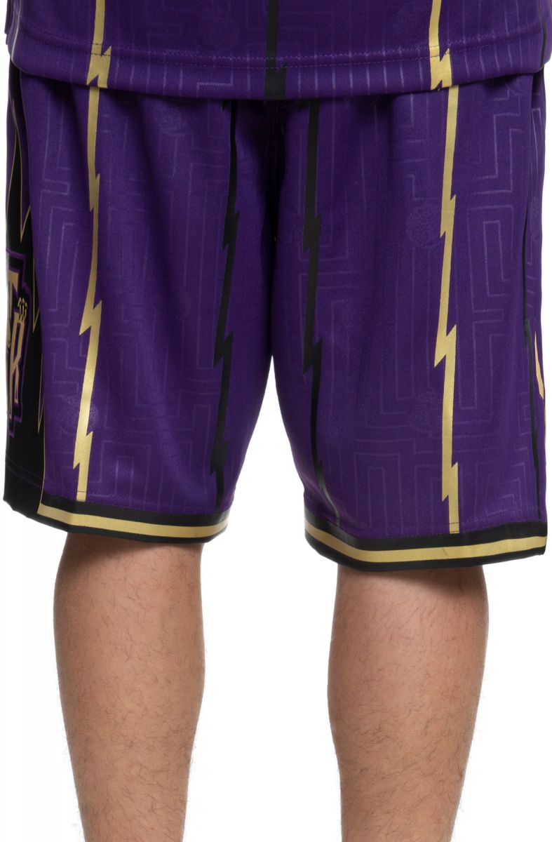 Mitchell & Ness Toronto Raptors Swingman Basketball Shorts