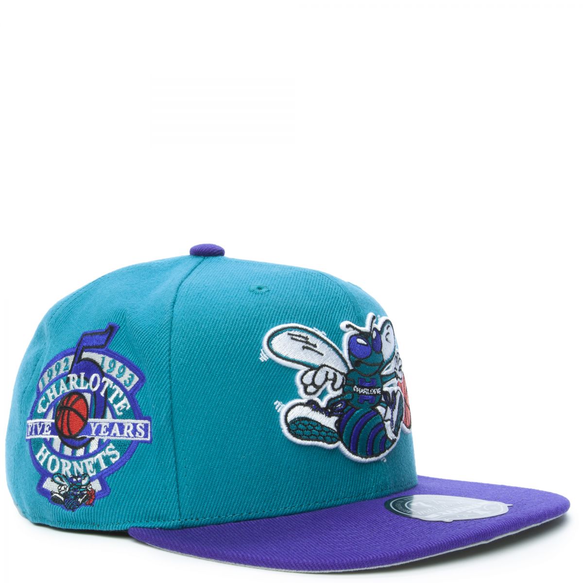 Mitchell and Ness Charlotte Hornets Team Side Fitted Hat Teal/Purple