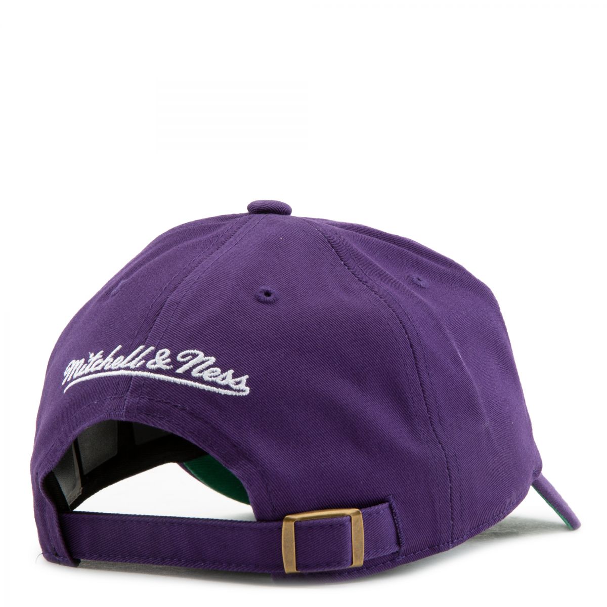 Raptors store dad cap