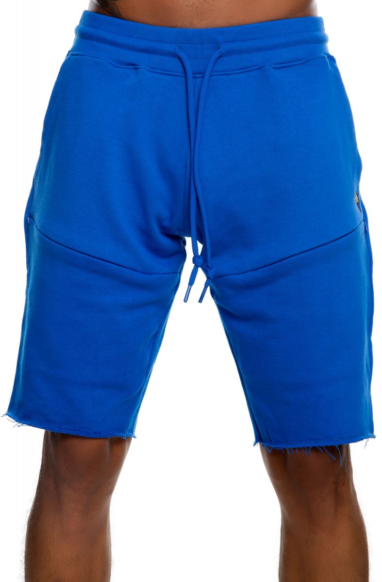 rayguns nike shorts