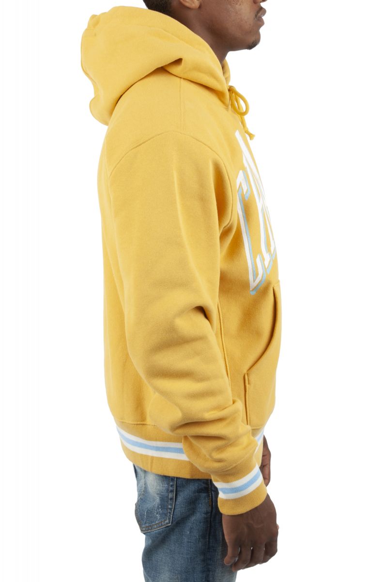 CHAMPION Premium Reverse Weave Hoodie S76253586Q3A-ANMD - Karmaloop