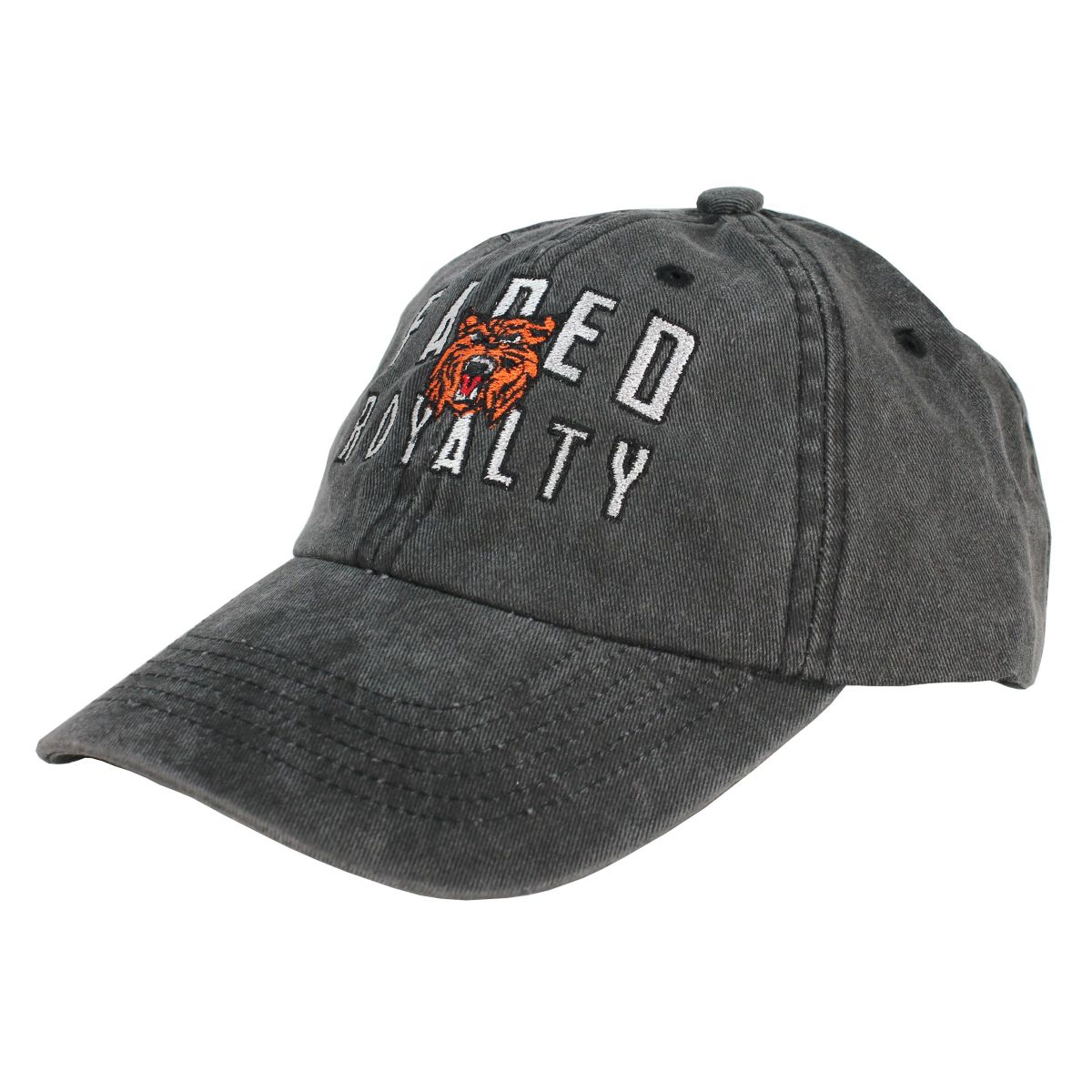 FADED ROYALTY 6 PANEL HAT FR_2019_4080 - Karmaloop