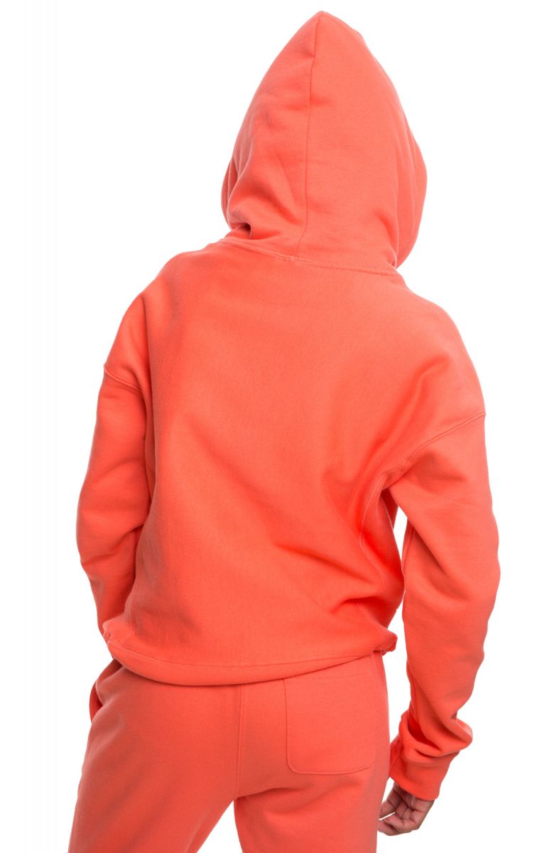 CHAMPION CHENILLE HOODIE GF757 Y07781 DOH Karmaloop