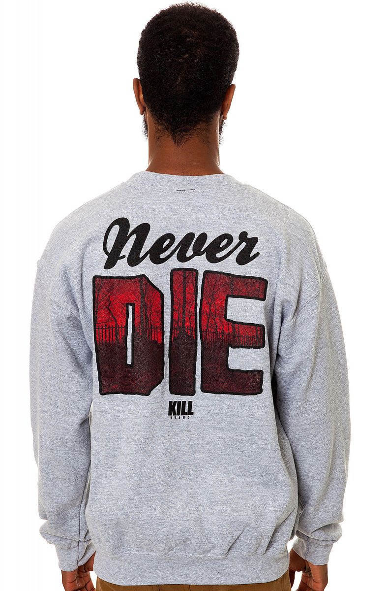 drake college sweatshirt