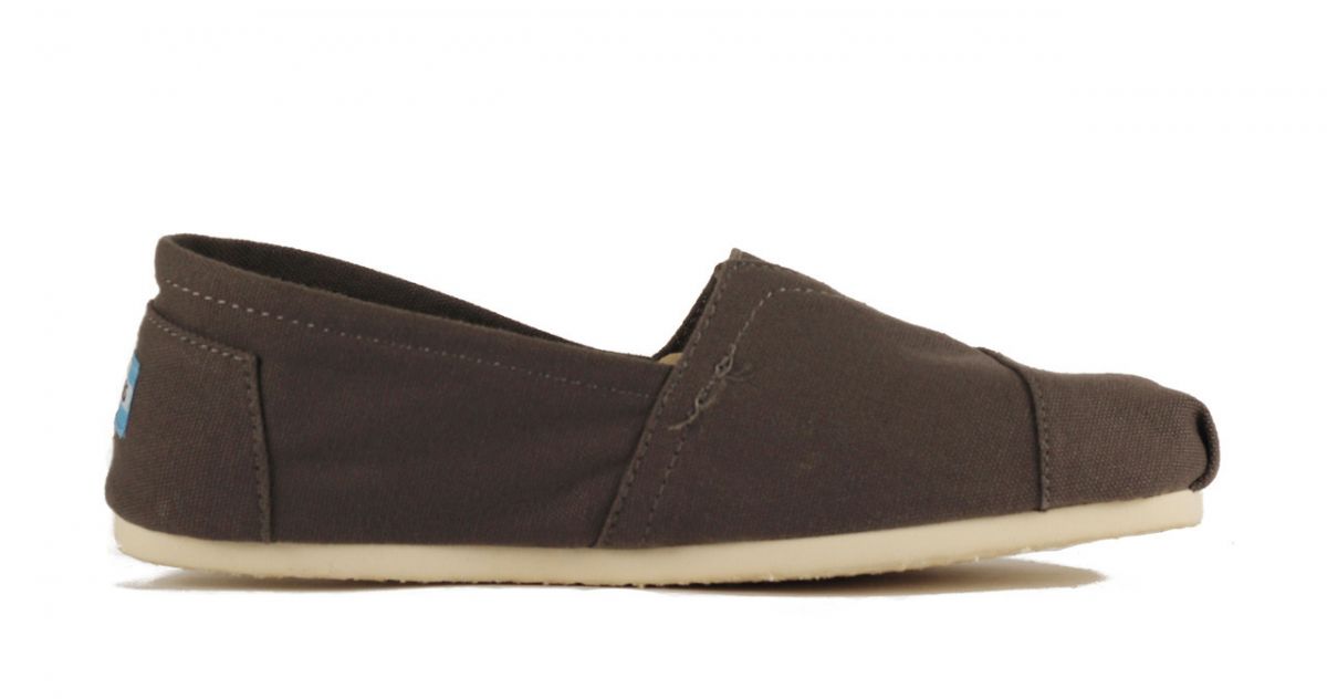 ash canvas trainers