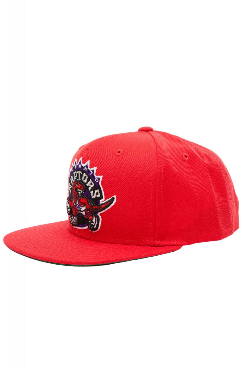 raptors snapback mitchell and ness