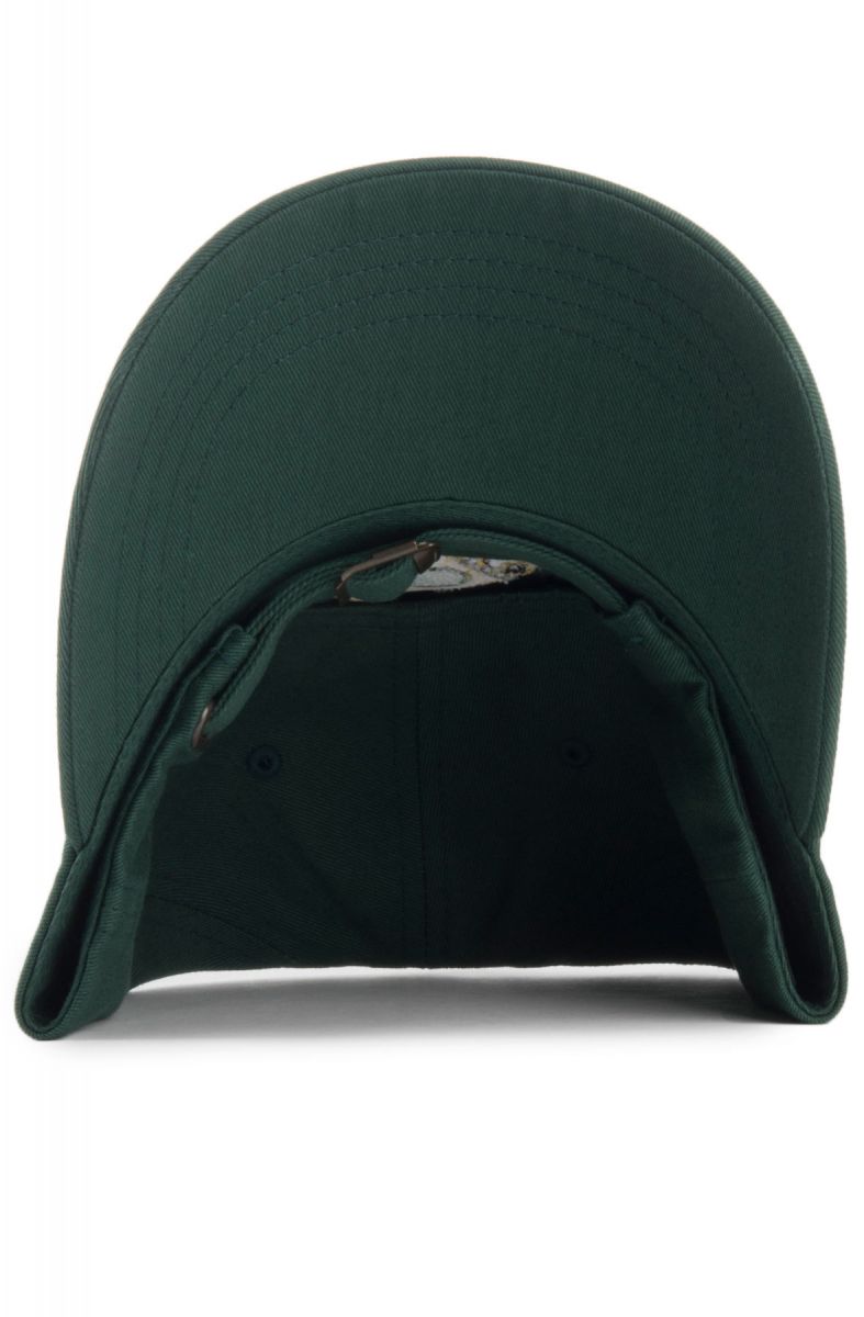 The Onion Chips Dad Hat in Spruce