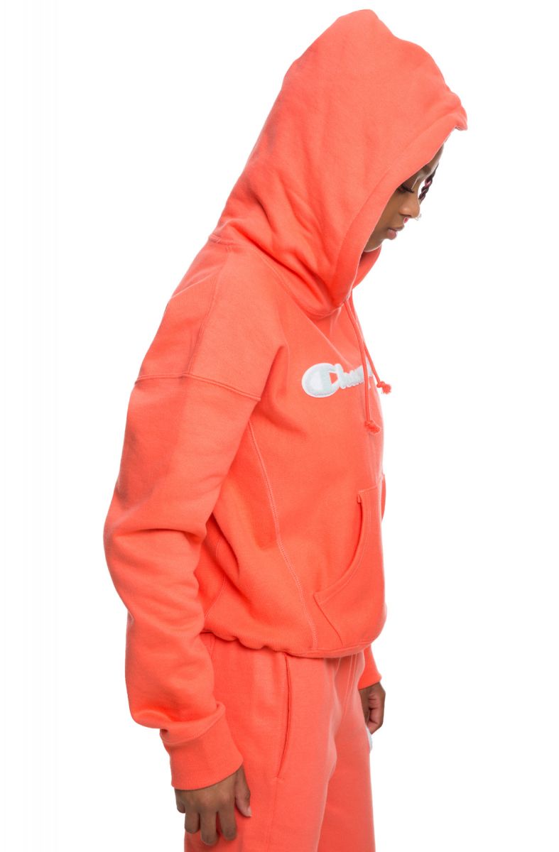 CHAMPION CHENILLE HOODIE GF757 Y07781 DOH Karmaloop