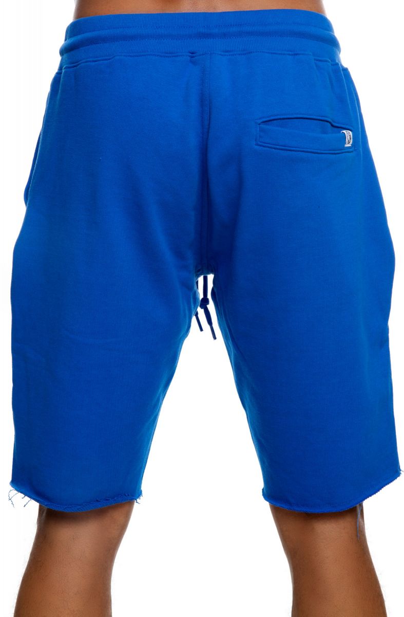 rayguns nike shorts