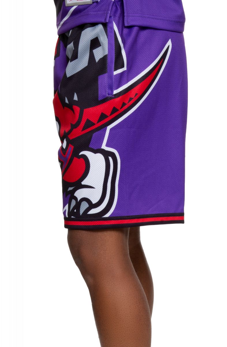 Mitchell & Ness NBA TORONTO RAPTORS SWINGMAN SHORTS - Club wear - purple 