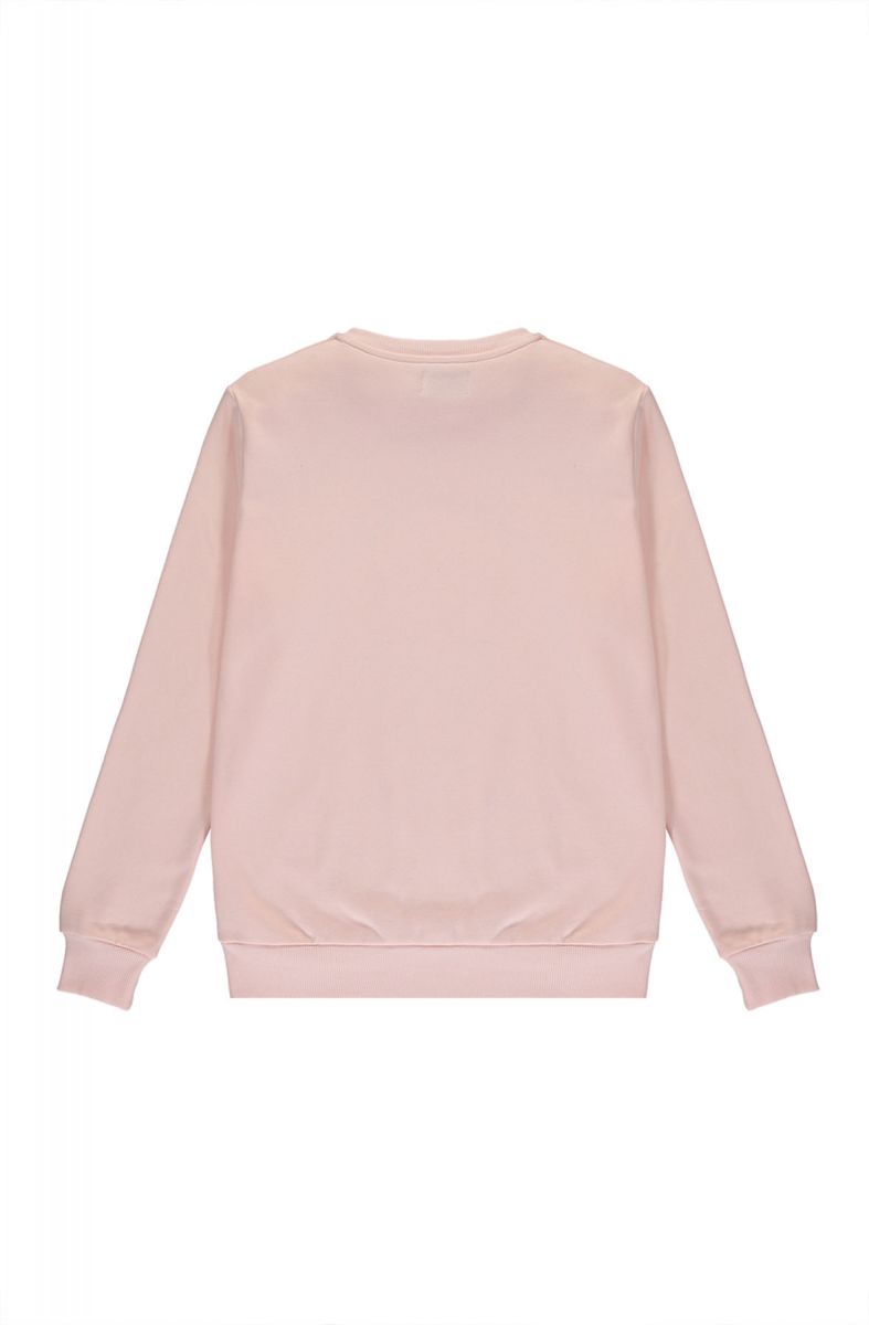 blush sweatshirt