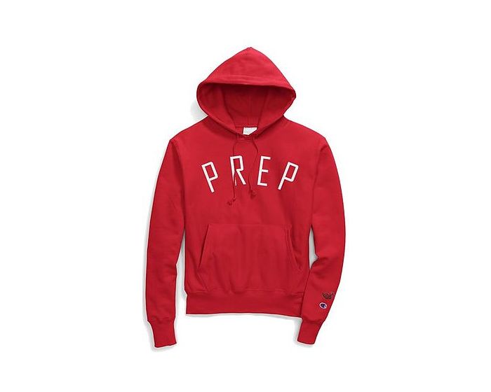 icon reverse weave sweatshirt