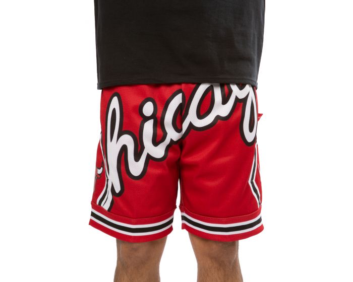NESS Chicago Bulls Big Face 2.0 Shorts 