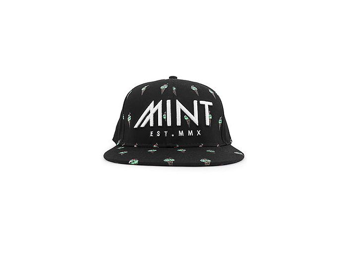MINT Mint Ice Cream Snapback MHICBK PLNDR
