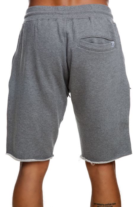 rayguns nike shorts