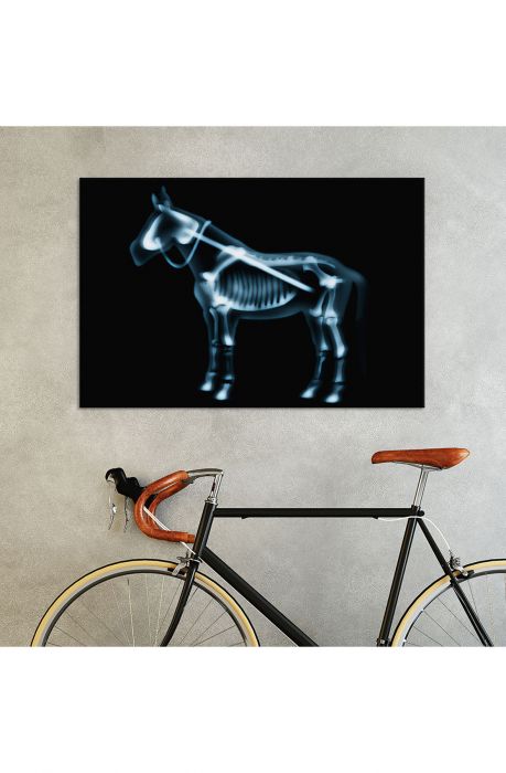 The X-Ray by Tobias Fonseca 40 x 26