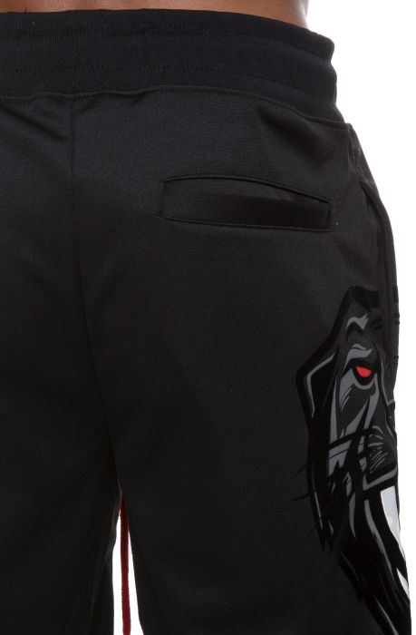 HUDSON The Wild Stripe Shorts in Black H3052044-BLK - Karmaloop