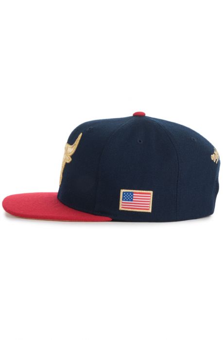 The Chicago Bulls 2 Tone Snapback Hat in Blue & Red