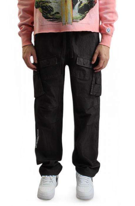 Urban Stargate Cropped Pants, Ice