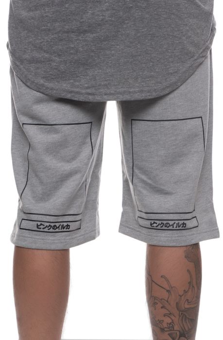 The Box Plus Shorts in Gray