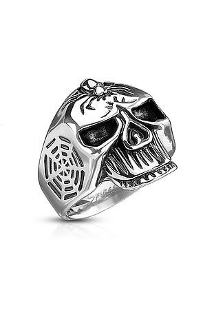 Skull and Spider Web  Stainless Steel Ring Sizes 7-14 